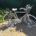 Garden Lux